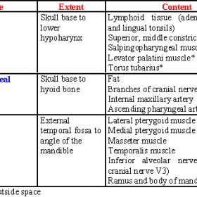 Extent and content of suprahyoid spaces